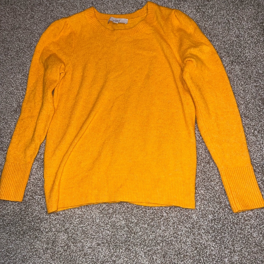 Loft Fitted Sweater